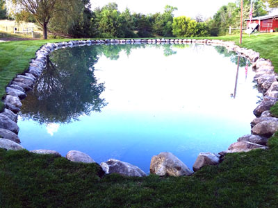 Natural Ponds, Water Falls and Water Fountain Design & Installation