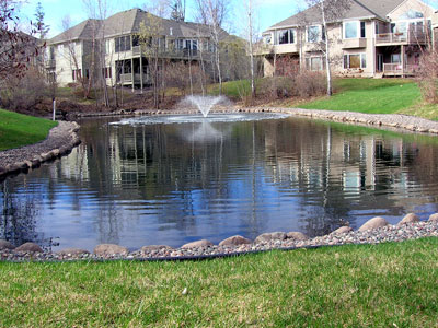 Natural Ponds, Water Falls and Water Fountain Design & Installation